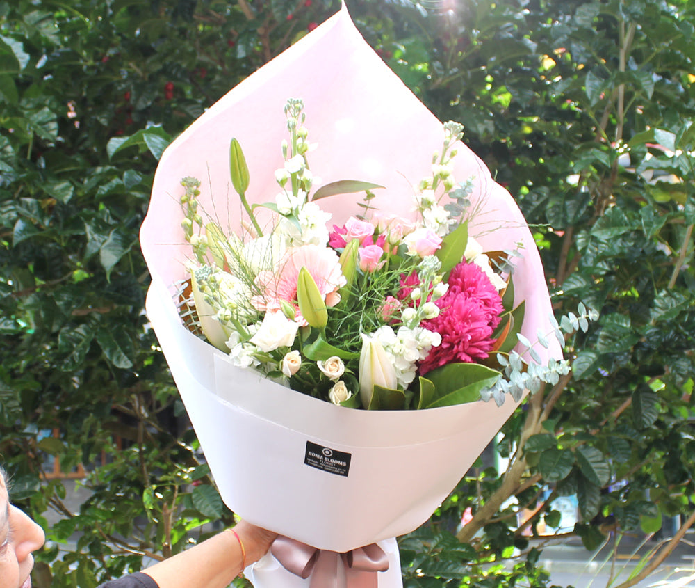 Winter Flowers in Auckland: The Best Blooms to Brighten the Cold Season