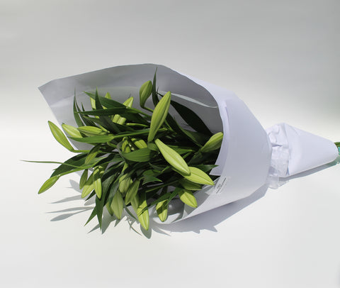 Fresh Lillies Wrapped Auckland Central City Florist RomaBlooms