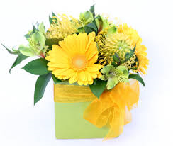 Appreciate To Work Colleague Auckland Central City Florist RomaBlooms  