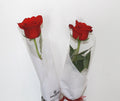 SINGLE RED ROSE