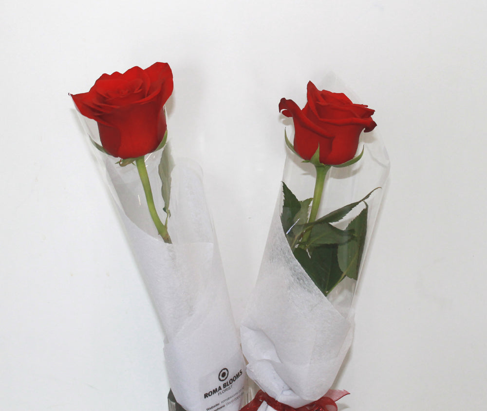 SINGLE RED ROSE