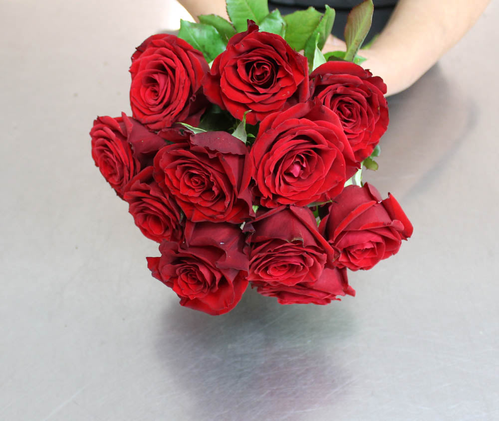 Dozen Short Stem Red Roses - 12 Rose Bouquet Auckland