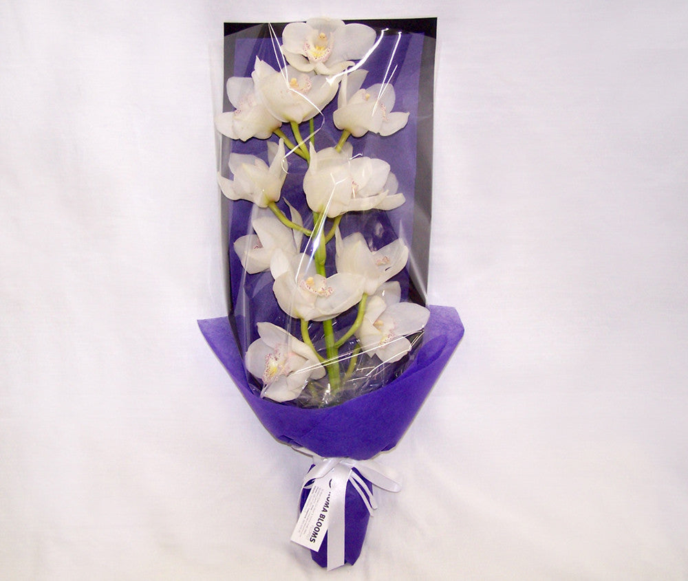 CELEBRATION ORCHID BOUQUET COLOR MAY CHANGE