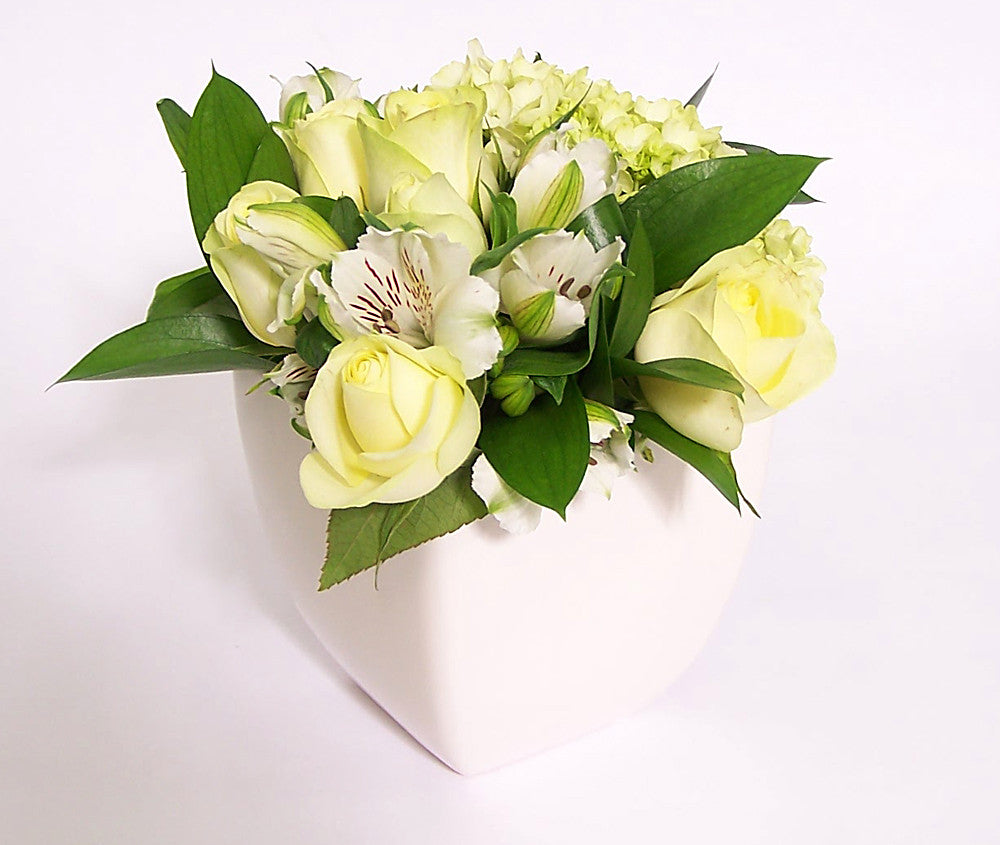  White and pale yellow coloured flowers.  - One ceramic pot.