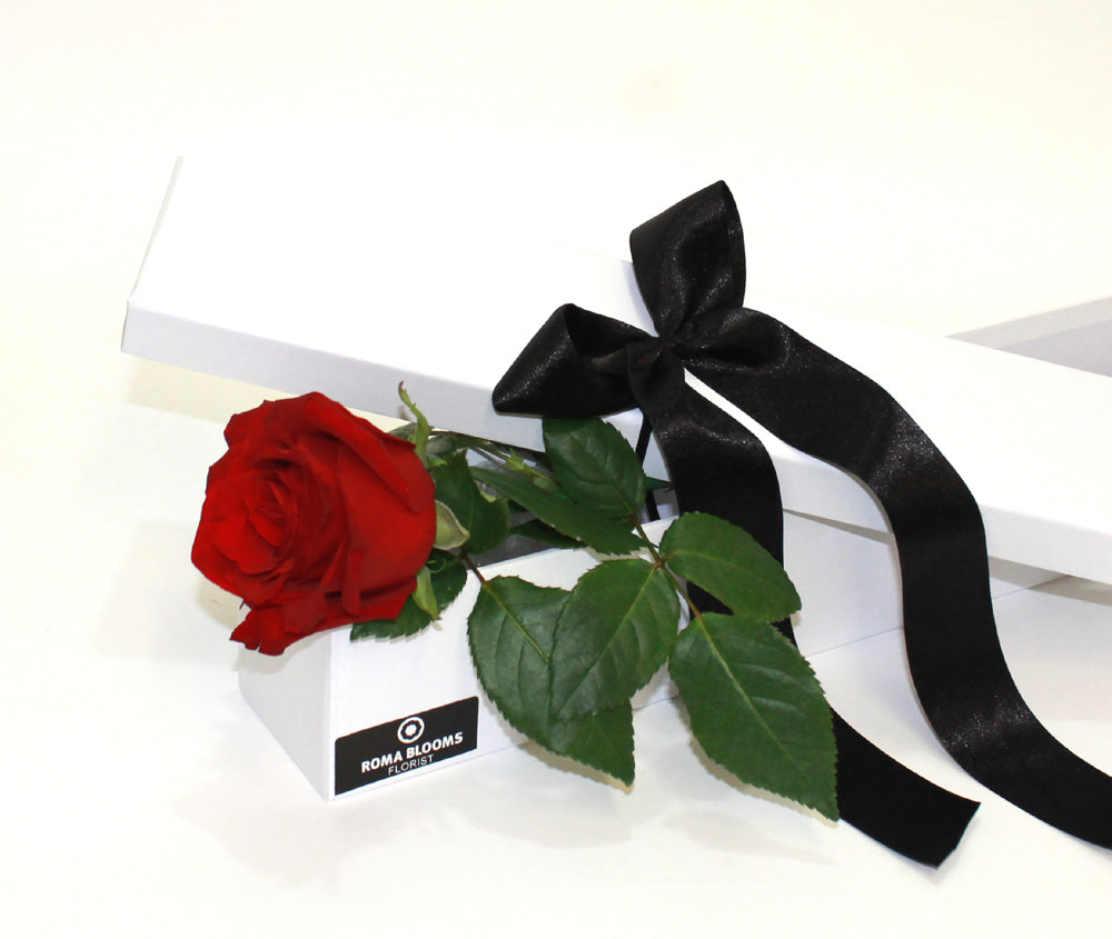 red rose in a  long box