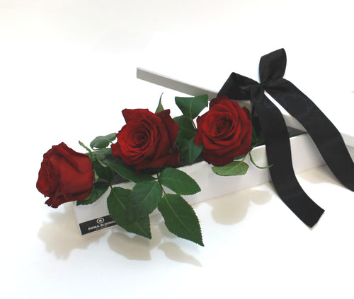 3 red roses in a long gift box