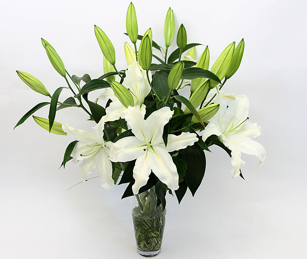 Classic white lilies, accentuated with lush greenery and conveniently presented in their own elegant vase.