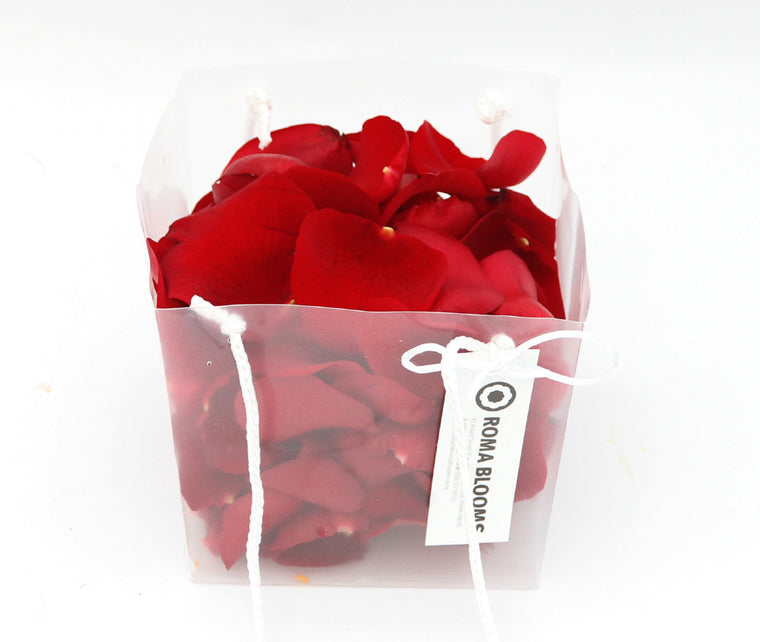 ROSE PETALS SMALL BAG