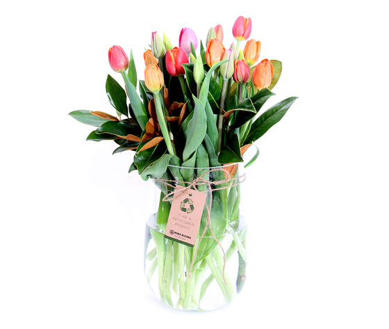 BRIGHT MIXED TULIPS IN VASE MOTHERS DAY ONLY