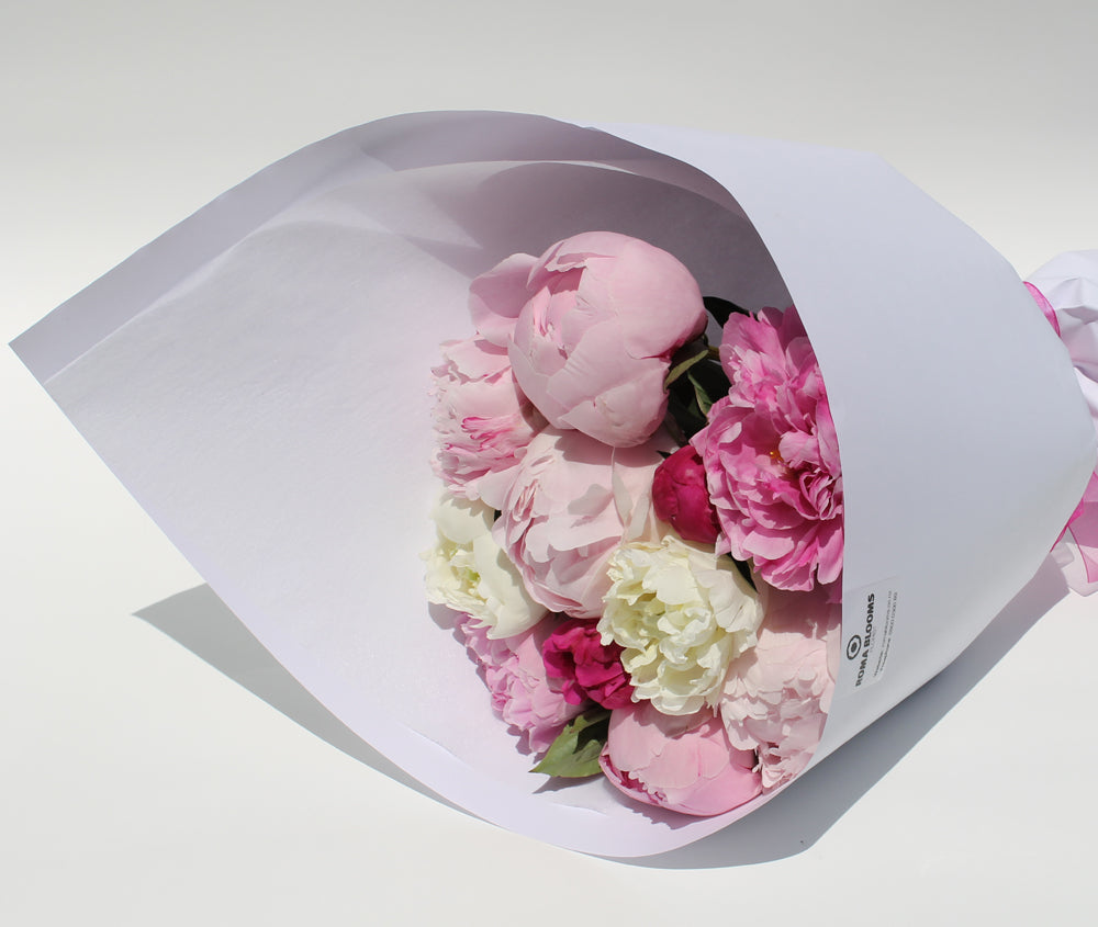 Pink Peonies WEEK DEAL! Auckland