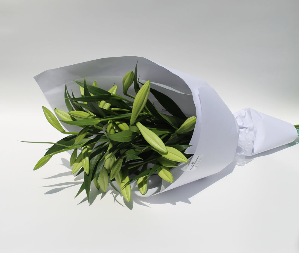 White Scented Lilies