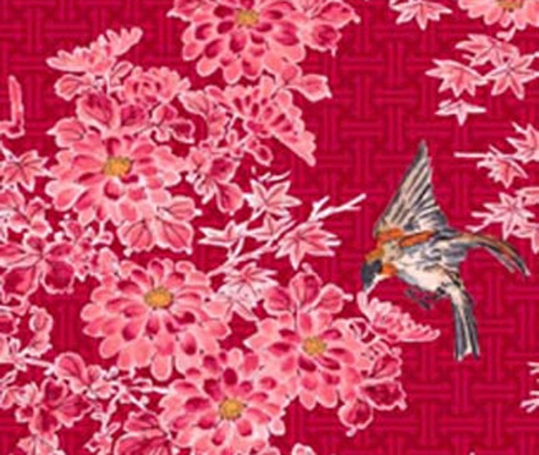 Songbird flying picture