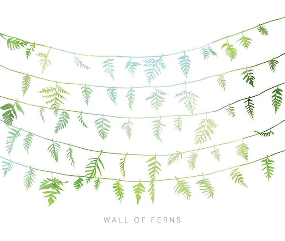 wall of ferns